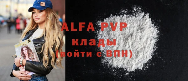 крисы Бородино