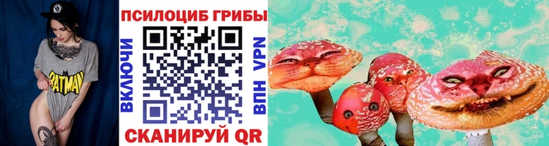 Галлюциногенные грибы ЛСД блэк спрут как войти Енисейск